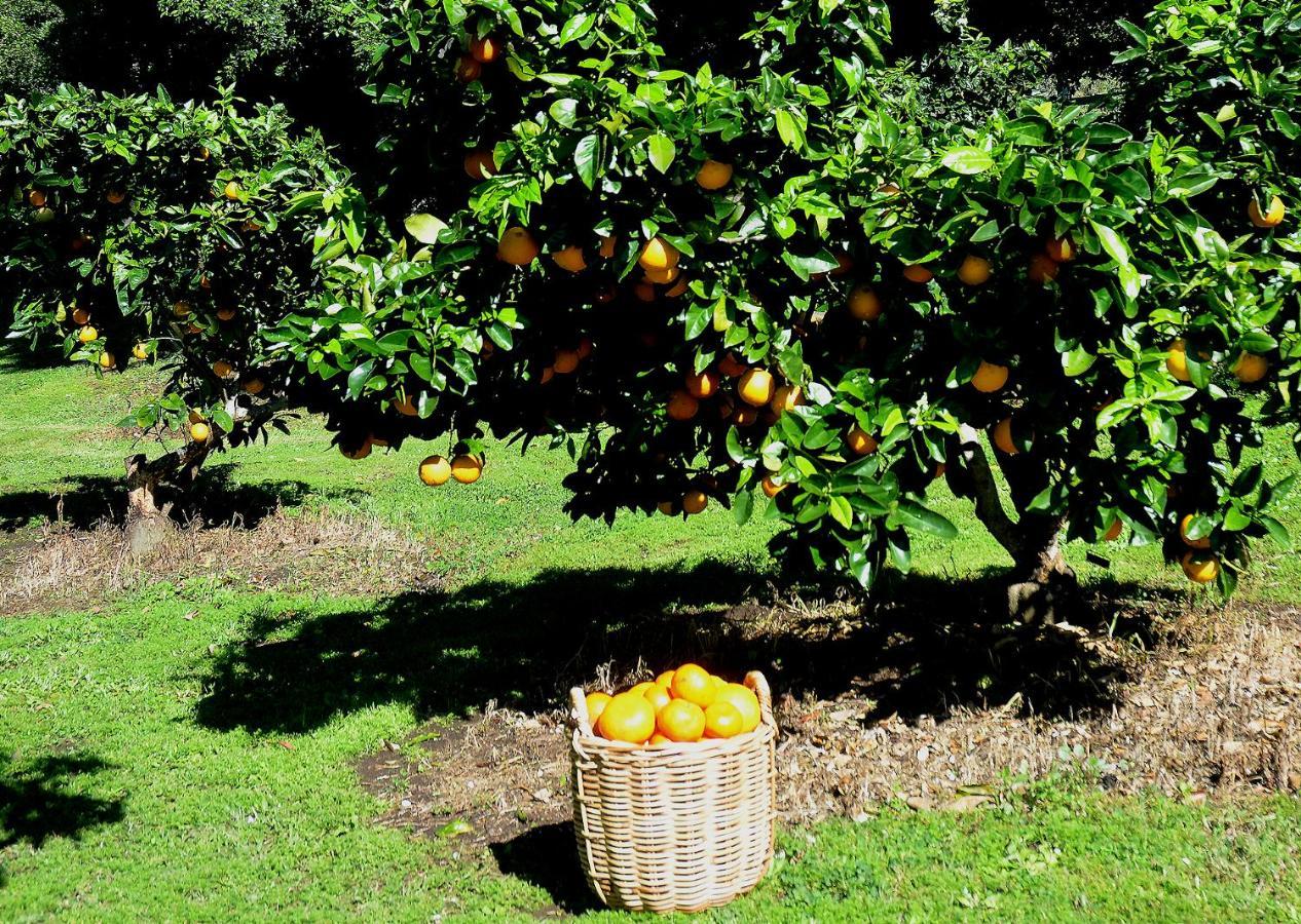 Rosecliffe Farm Cottages Pomona Eksteriør bilde